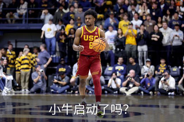 小牛启动了吗？